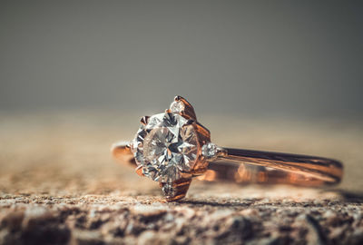 Close-up of crab on the table