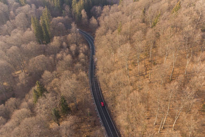 High angle view of road amidst trees in forest