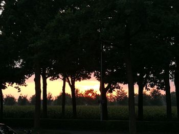 Silhouette trees on landscape against sky at sunset