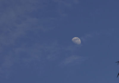 Low angle view of moon in sky