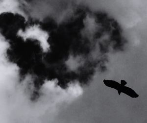 Low angle view of bird flying against sky