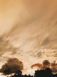Low angle view of silhouette trees against sky during sunset