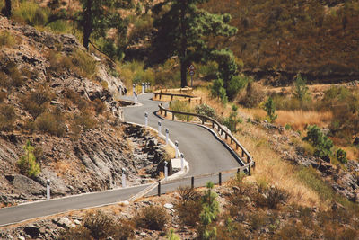 High angle view of road amidst trees against sky