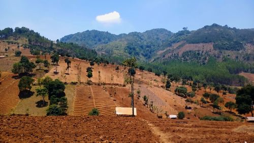 Mountain in buleud