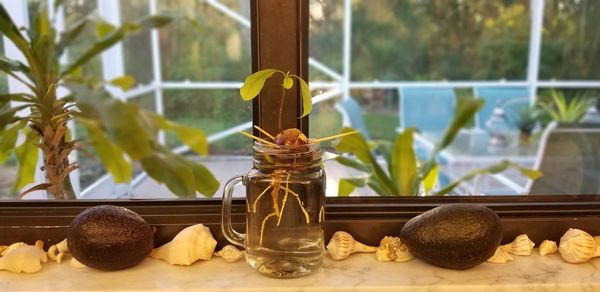 Close-up of glass jar on window sill