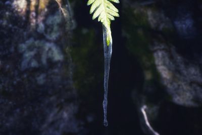 Close-up of water