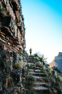 Plants on rocks by building against clear sky