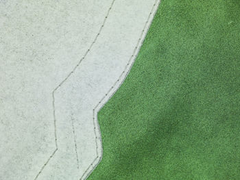 High angle view of green grass