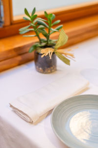 High angle view of potted plant on table