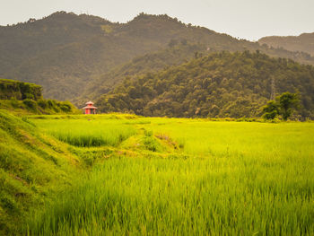 Scenic view of field against mountains