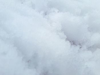 Close-up of snow