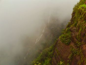 High angle view of trees on landscape