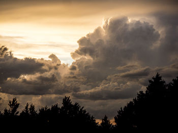 Scenic view of forest tree tops against cloudy sky