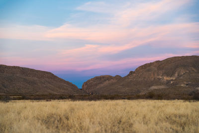Scenic view of field against sky during sunset