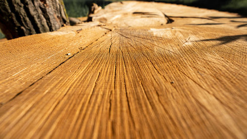 Close-up of wooden planks