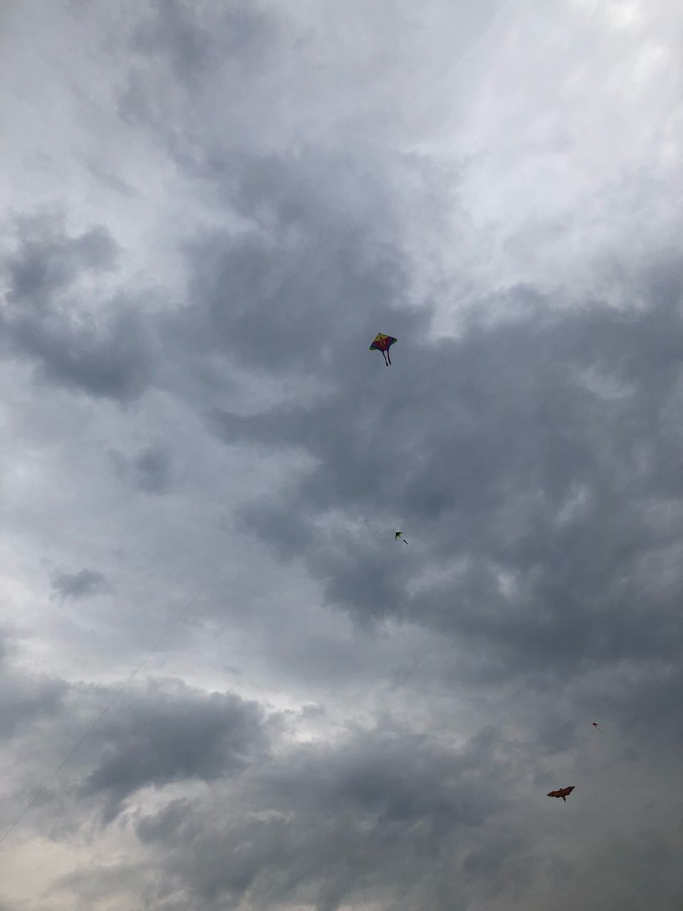 cloud - sky, sky, animal themes, animal, vertebrate, bird, flying, animal wildlife, animals in the wild, low angle view, mid-air, one animal, beauty in nature, nature, no people, overcast, day, spread wings