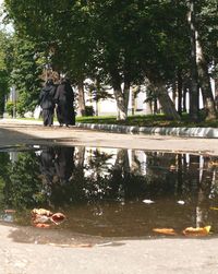 Reflection of trees in puddle