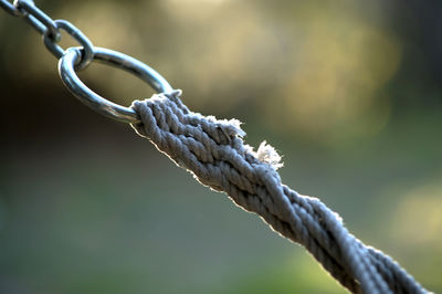 Close-up of rope against blurred background