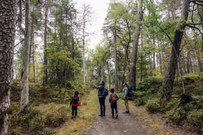 Parents showing trees to children while hiking in forest during vacation