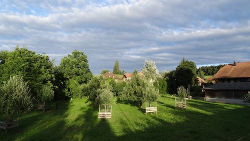 Panoramic view of trees on landscape against sky