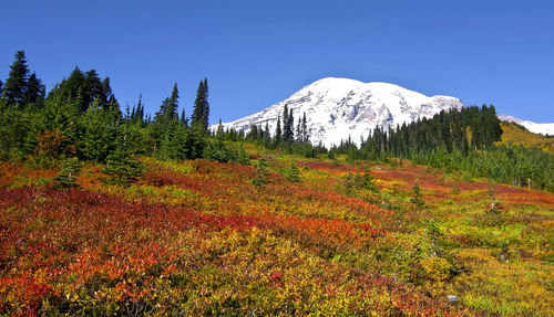 Scenic view of mountains against clear sky