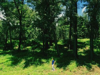 Man standing on tree trunk in forest