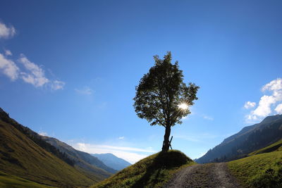 Single tree on mountain against blue sky