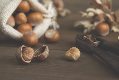 Close-up of shells on table