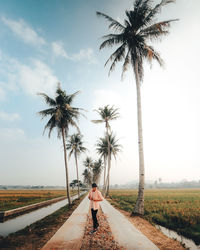 Rear view of man walking on road by palm trees on field