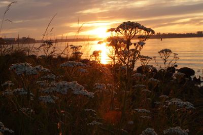 Scenic view of sea against sky during sunset