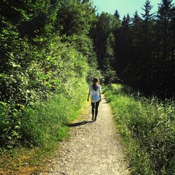 Rear view of women walking in forest