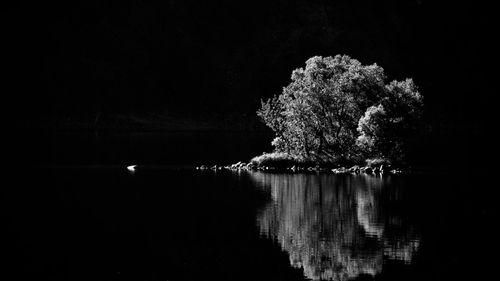 Trees growing by lake against sky at night