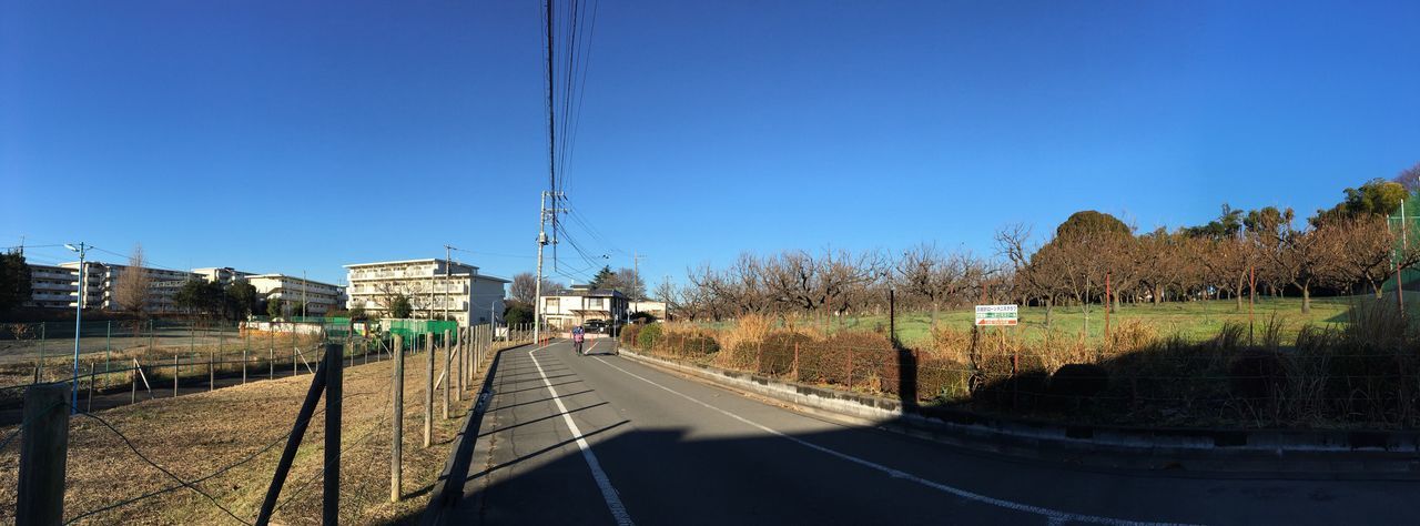 transportation, clear sky, tree, road, the way forward, land vehicle, no people, sky, outdoors, day