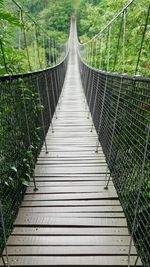 View of footbridge in forest