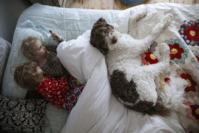 High angle view of sisters using mobile phone while lying with dog on bed