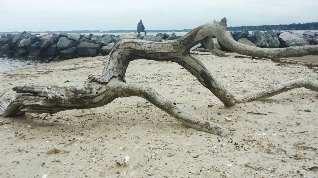 beach, sand, shore, sea, tranquility, water, nature, clear sky, tranquil scene, day, rock - object, scenics, outdoors, driftwood, sky, beauty in nature, no people, non-urban scene, rock, stone - object