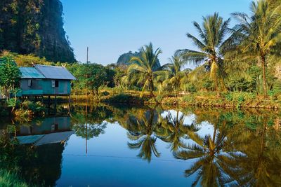 Reflection of palm trees in lake against sky