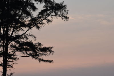 Low angle view of silhouette tree against sky at sunset