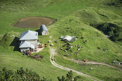 High angle view of road amidst field