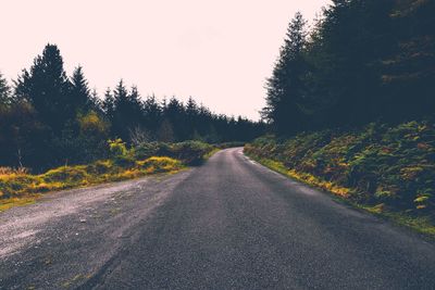 Road amidst trees against clear sky