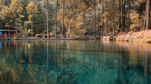 Scenic view of lake in forest during autumn