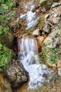 Stream flowing through rocks in forest