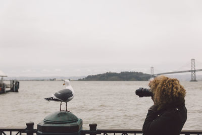 Side view of woman photographing seagull on railing by sea