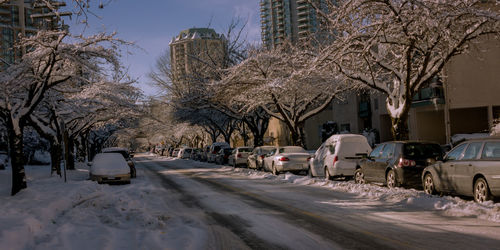 Snow covered road amidst trees and buildings in city