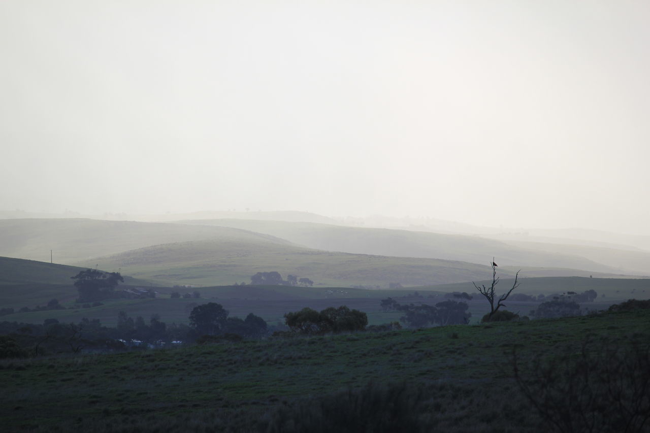 Rainy landscape