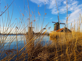 Romantic atmosphere at sunset on the zaandam river between the zaanse schans windmills
