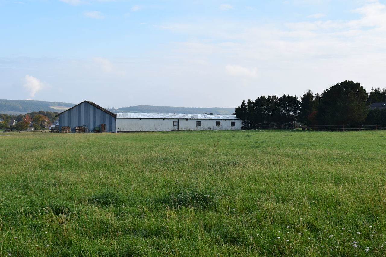 BARN ON FIELD AGAINST SKY