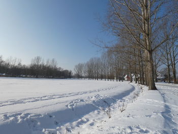 Bare trees on snow covered field against sky