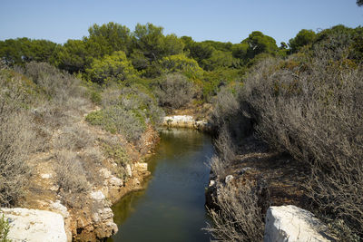 Scenic view of river amidst rocks