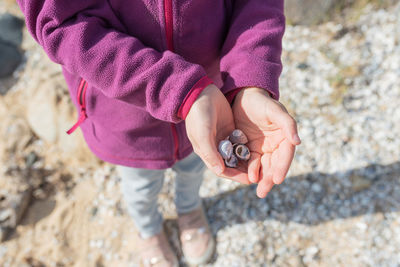 Midsection of woman holding seashells at beach